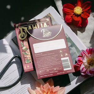 SEED PACKET | KINDNESS: DAHLIA-Garden-TO & FROM GIFT CO.-Coriander