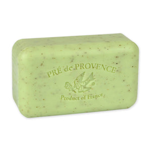 SHEA ENRICHED EVERYDAY FRENCH SOAP BAR-Body Care-EUROPEAN SOAPS-LIME-Coriander