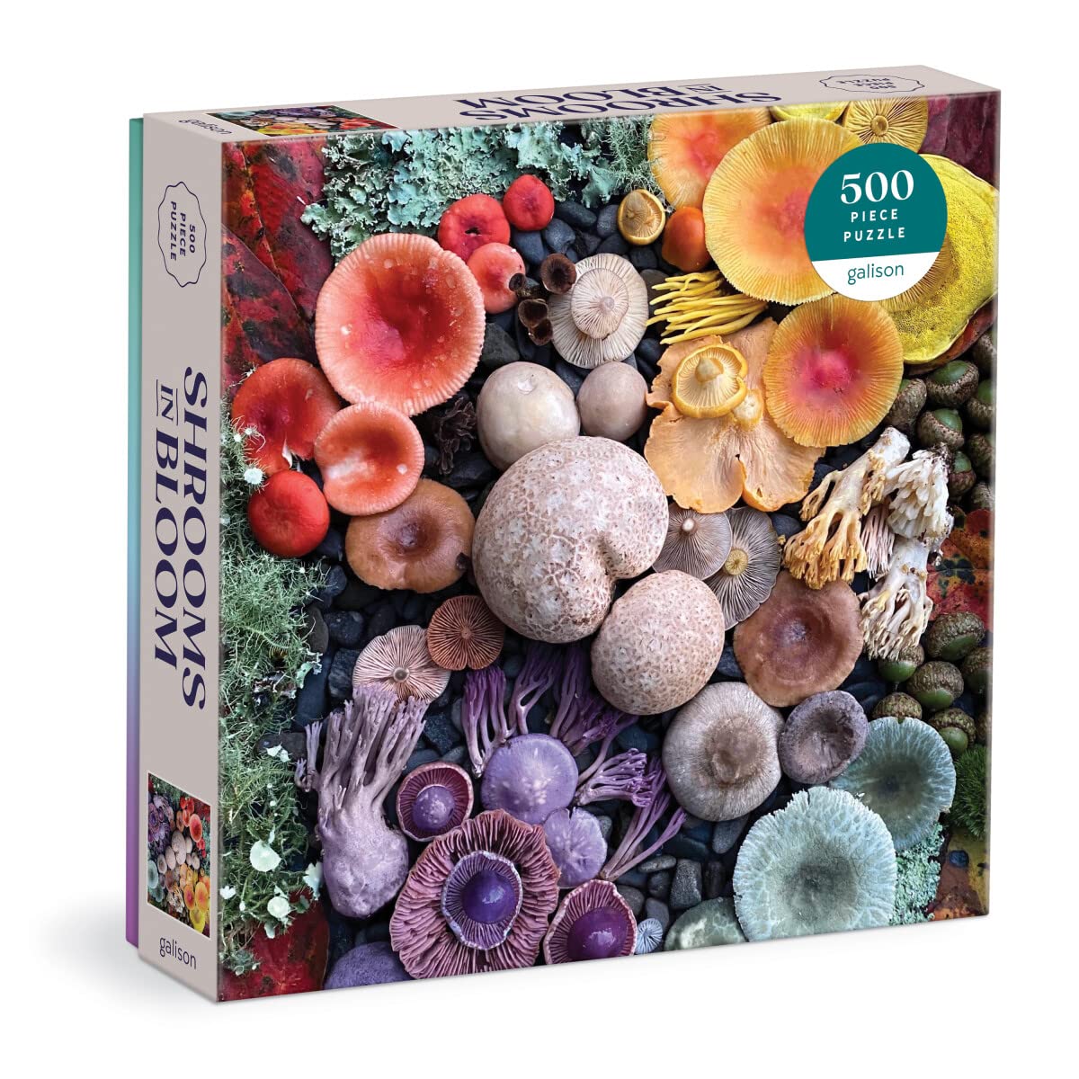 SHROOMS IN BLOOM 500 PC PUZZLE-Fun and Games-RAINCOAST-Coriander