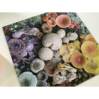 SHROOMS IN BLOOM 500 PC PUZZLE-Fun and Games-RAINCOAST-Coriander