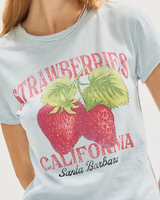 S/S TEE | NOVA: STRAWBERRY COMBO-Top-FREE PEOPLE-XSMALL-STRAWBERRY COMBO-Coriander