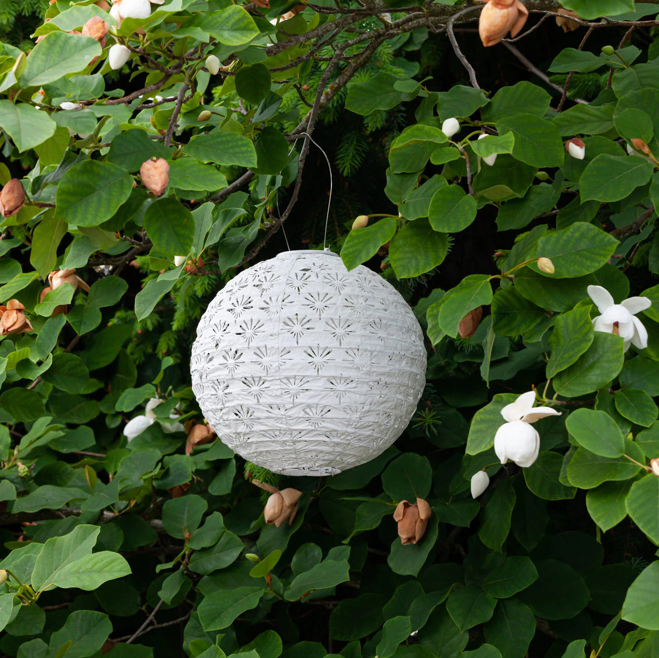 STELLA DECO GLOBE - WHITE-Lights-ALLSOP-Coriander