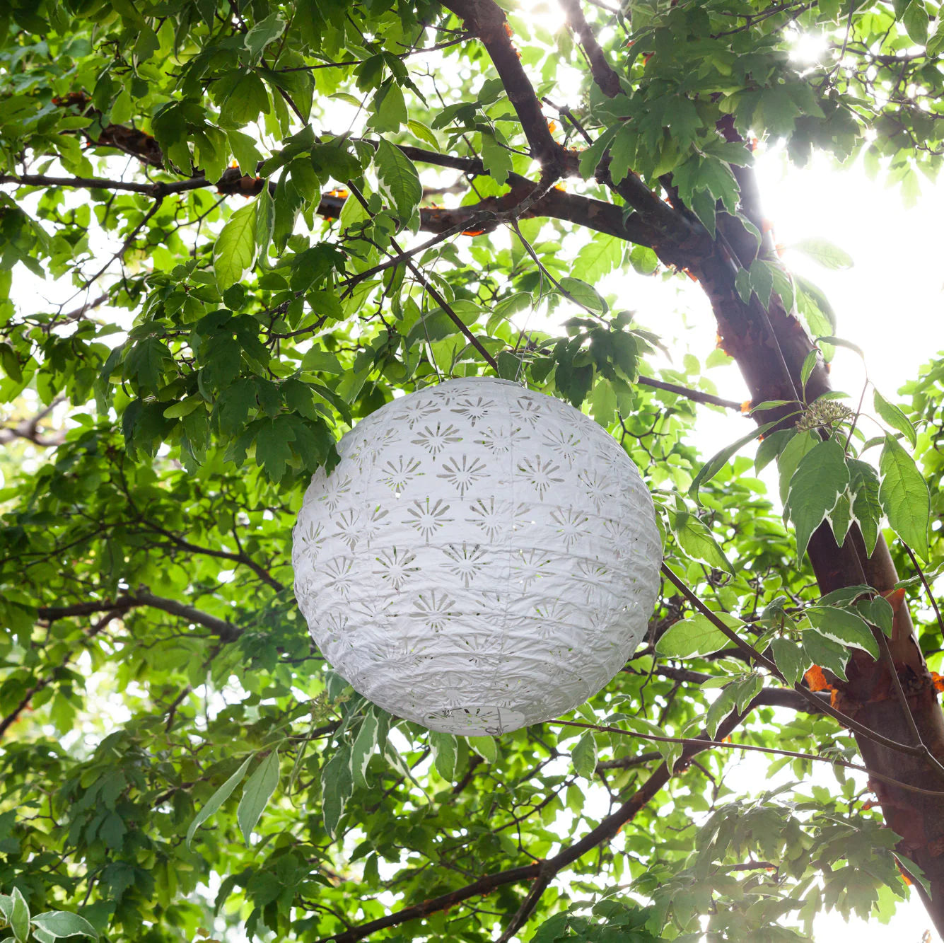 STELLA DECO GLOBE - WHITE-Lights-ALLSOP-Coriander