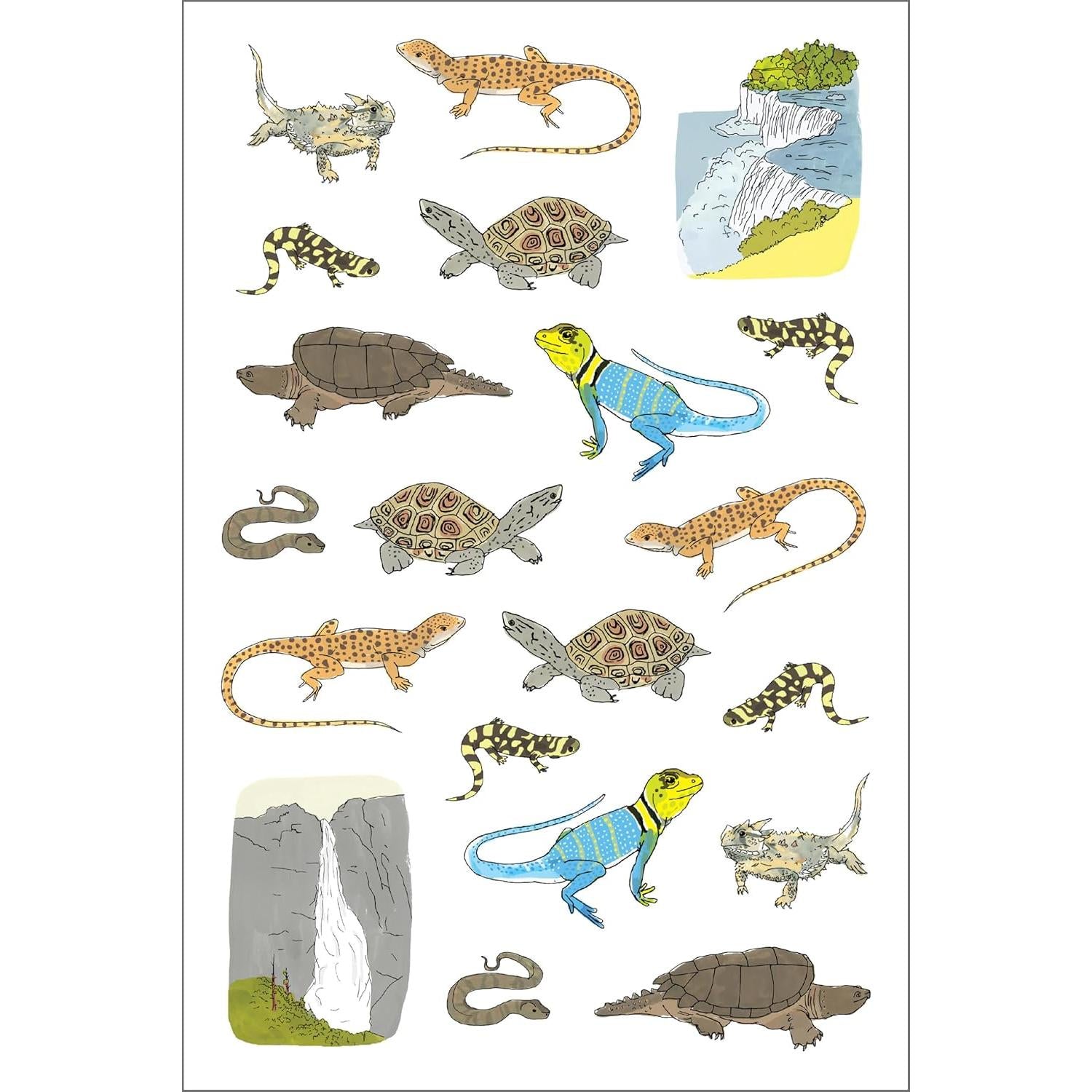 STICKER BOOK | NATURE ANATOMY-Books & Stationery-HACHETTE BOOK GROUP-Coriander