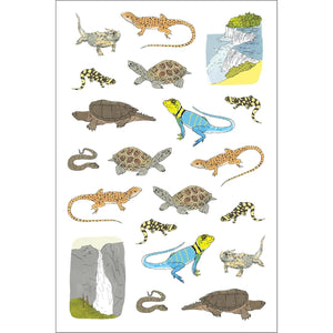 STICKER BOOK | NATURE ANATOMY-Books & Stationery-HACHETTE BOOK GROUP-Coriander