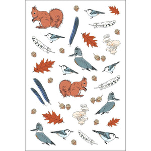 STICKER BOOK | NATURE ANATOMY-Books & Stationery-HACHETTE BOOK GROUP-Coriander