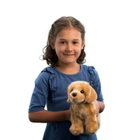 STUFFIE | CHAP GOLDEN RETRIEVER-Stuffie-DOUGLAS-Coriander