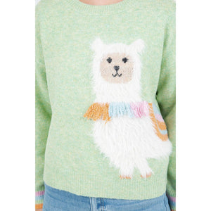 SWEATER | LLAMA-Jackets & Sweaters-DREAMERS BY DEBUT-SMALL-MED-GREEN-Coriander