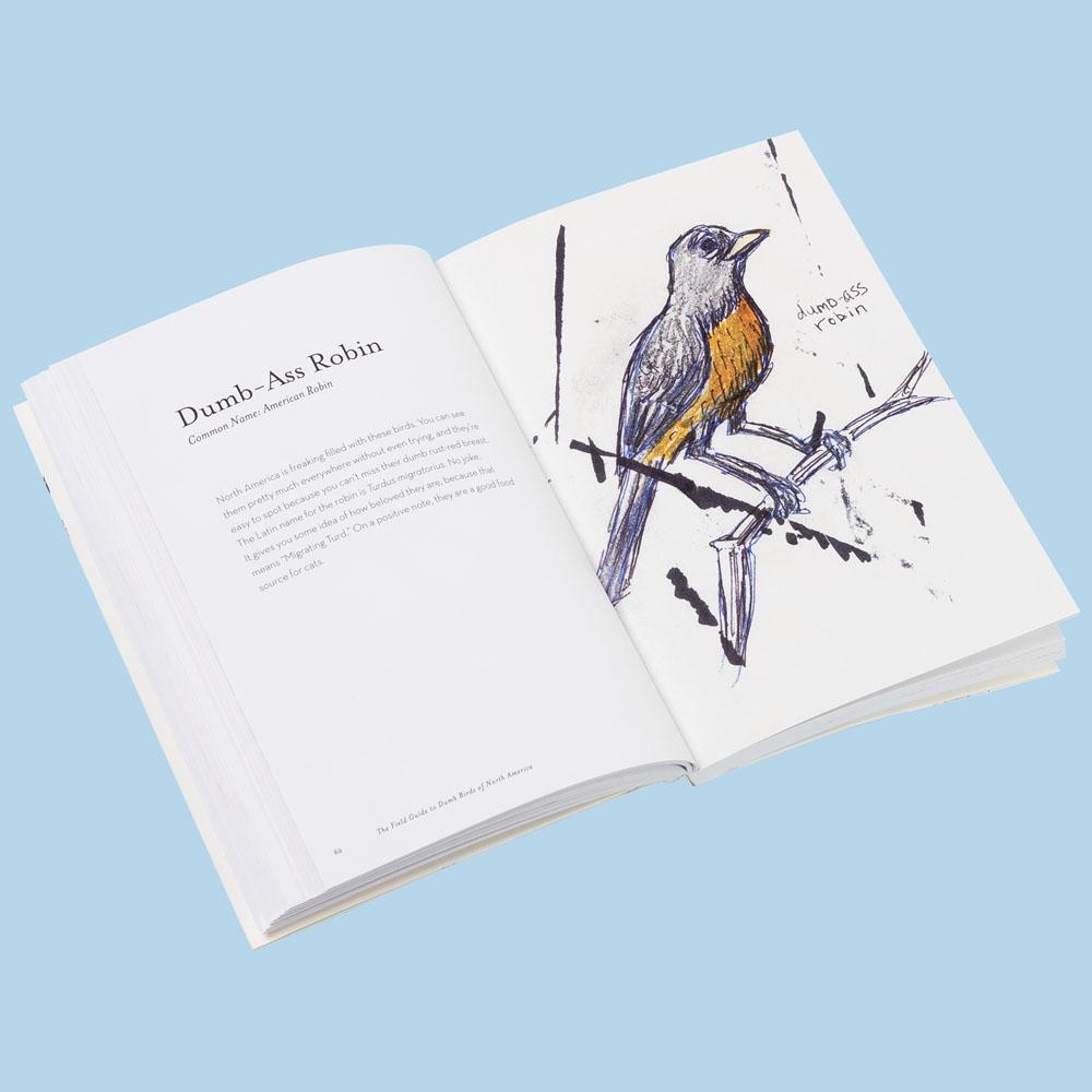 THE FIELD GUIDE to DUMB BIRDS of NORTH AMERICA-Books & Stationery-RAINCOAST-Coriander