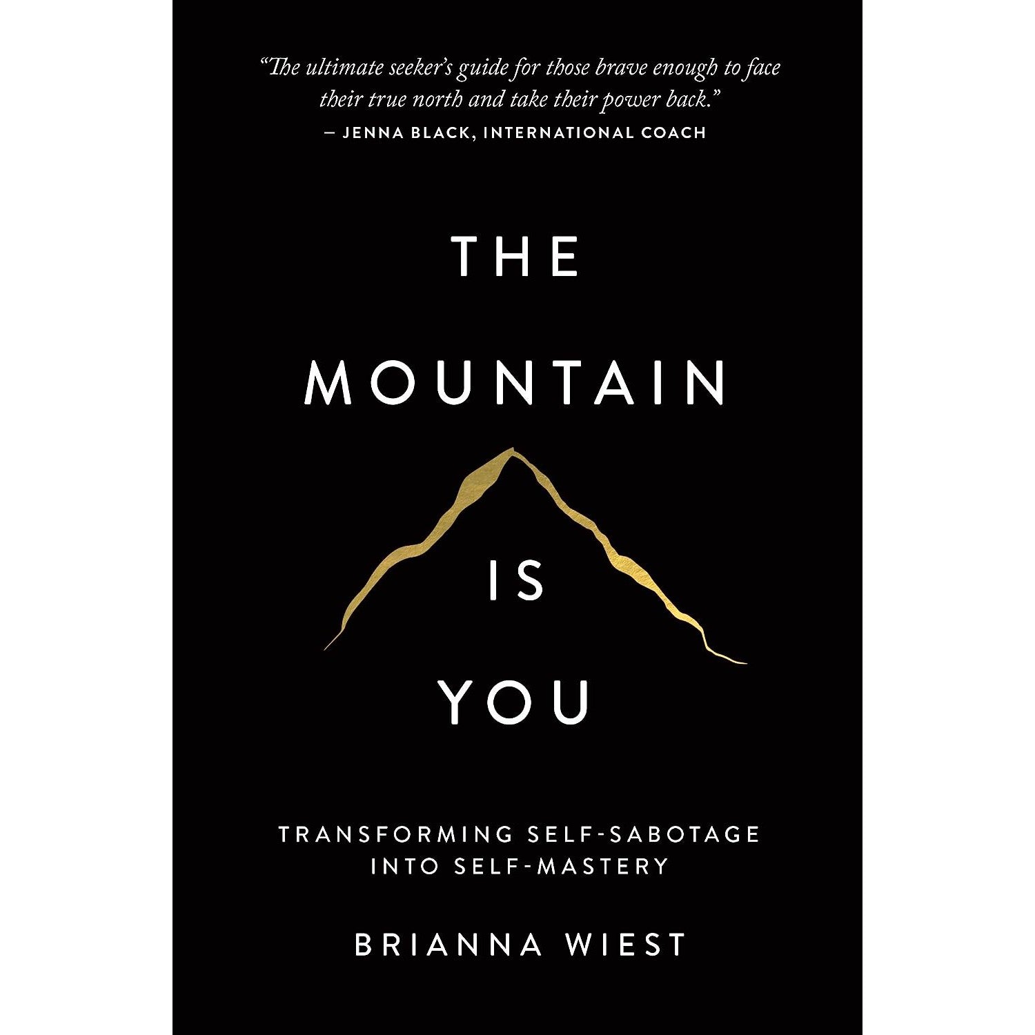 THE MOUNTAIN IS YOU-Books & Stationery-UNIVERSITY OF TORONTO PRESS-Coriander