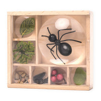 TOY | HUCKLEBERRY MY LITTLE MUSEUM-Fun and Games-KIKKERLAND DESIGNS-Coriander