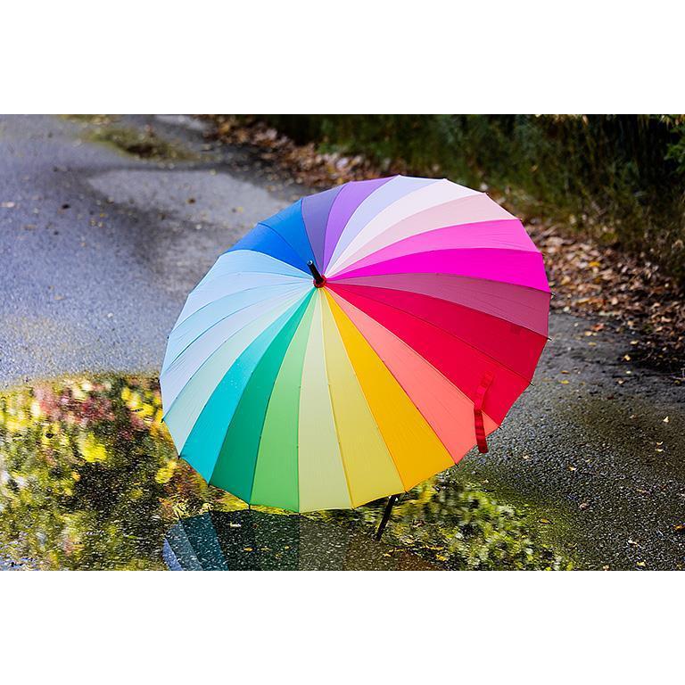 UMBRELLA | COLOUR WHEEL SLAT-Umbrella-ABBOTT-Coriander