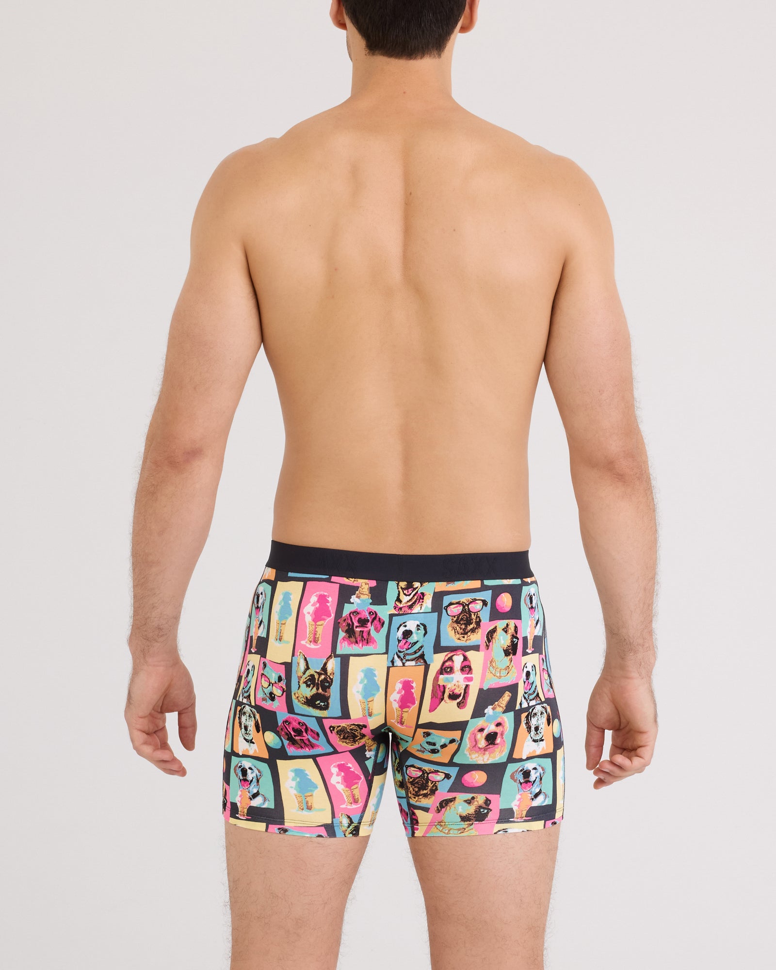 VIBE XTRA BOXER BRIEF | SUMMER DOGS OF SAXX-MULTI-Intimates-SAXX-Coriander