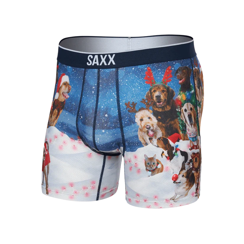 VOLT MESH BOXER BRIEF | DOGS OF SAXXMAS BLUE-Intimates-SAXX-SMALL-DOGS OF SAXXMAS-BLUE-Coriander