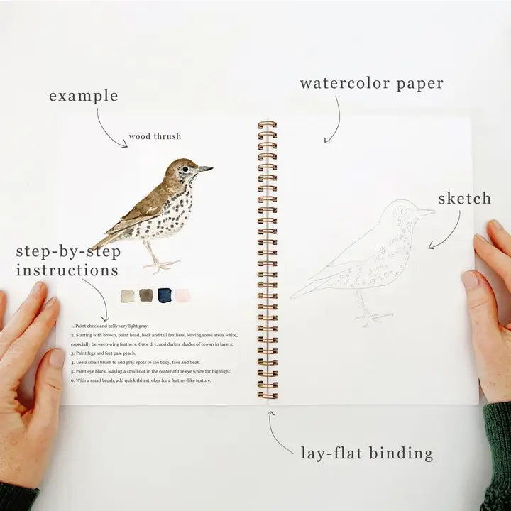 WATERCOLOUR WORKBOOK | BIRDS-Fun and Games-EMILY LEX STUDIO-Coriander