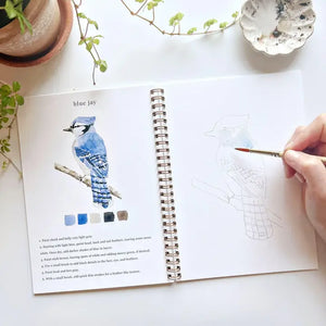 WATERCOLOUR WORKBOOK | BIRDS-Fun and Games-EMILY LEX STUDIO-Coriander