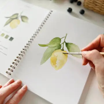 WATERCOLOUR WORKBOOK | FRUIT