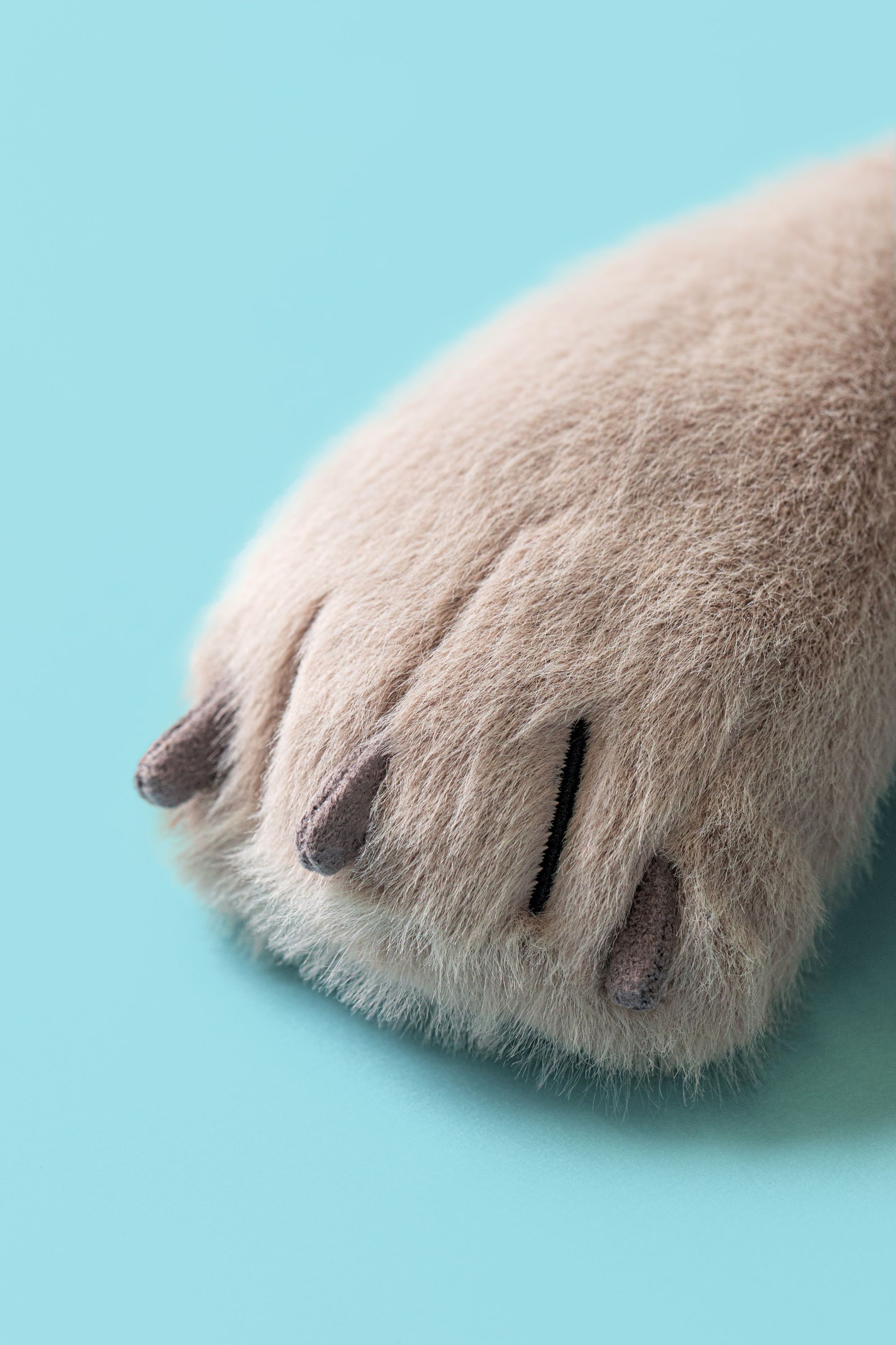 JELLYCAT | ULRICH WOLF