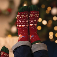 WOMEN'S SOCKS | SEASONS TWEETINGS FAIR ISLE ROBIN-Socks & Footwear-WRENDALE DESIGNS-Coriander