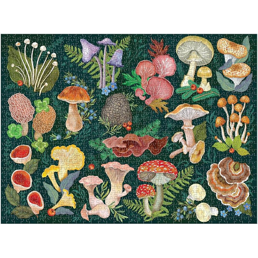 WORLD OF MUSHROOMS 1 000 PC PUZZLE-Fun and Games-RAINCOAST-Coriander