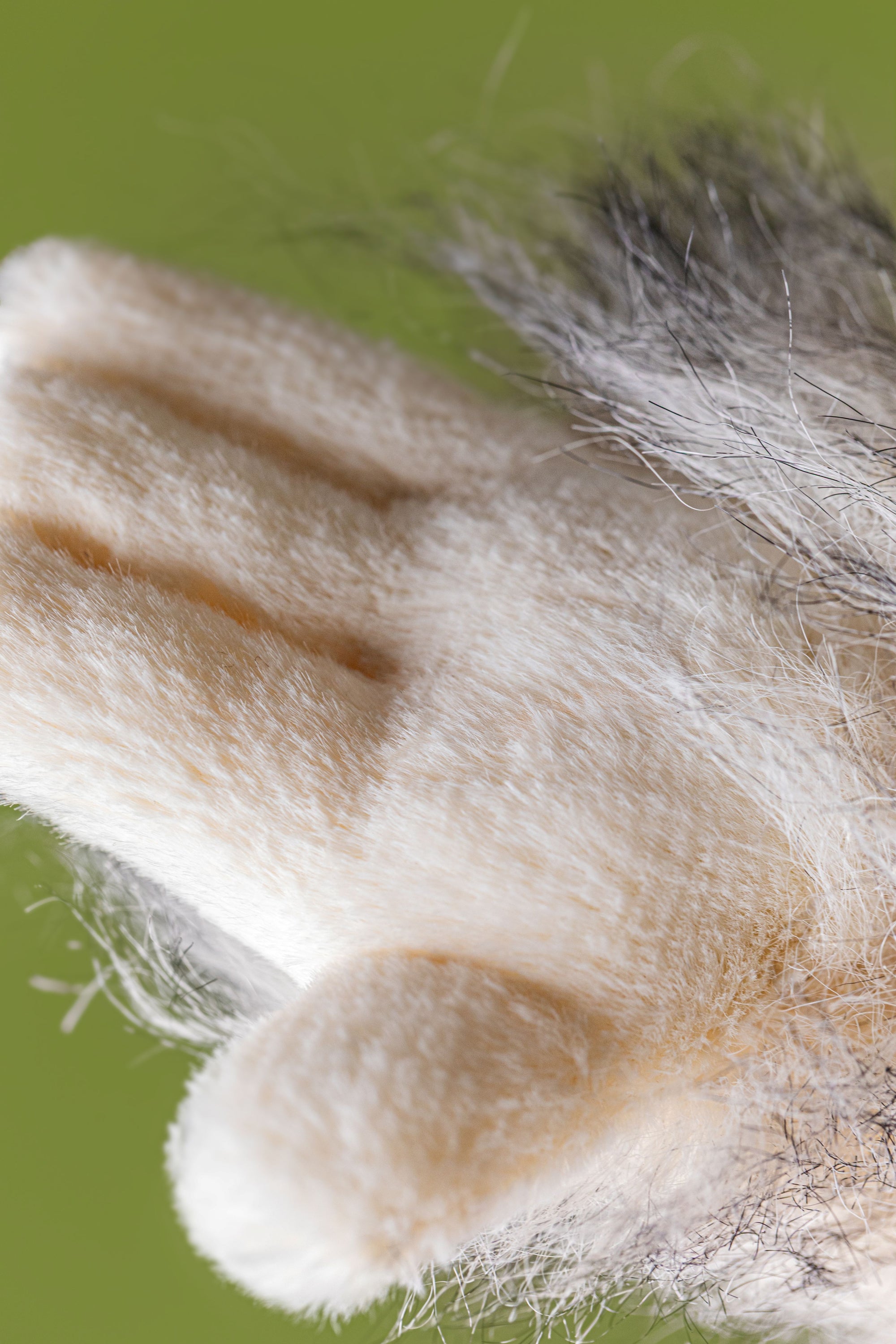 JELLYCAT | BRETTI YETI
