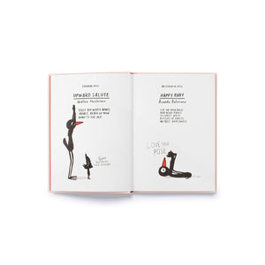 YOGA FOR STIFF BIRDS-Books & Stationery-HACHETTE BOOK GROUP-Coriander