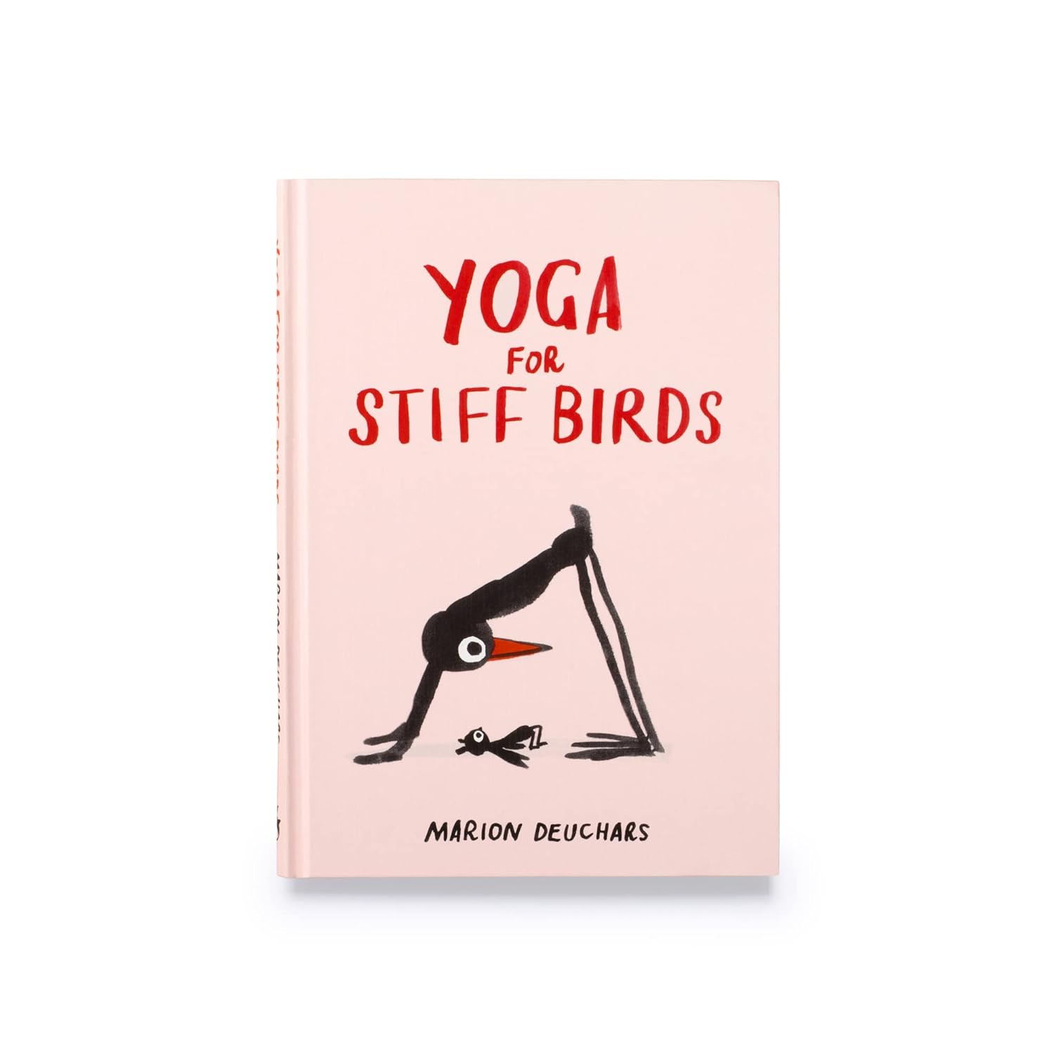 YOGA FOR STIFF BIRDS-Books & Stationery-HACHETTE BOOK GROUP-Coriander