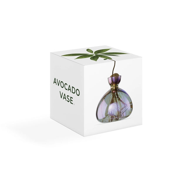AVOCADO VASE | COSMIC VEGA