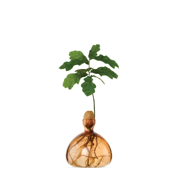 ACORN VASE | SWEET APRICOT