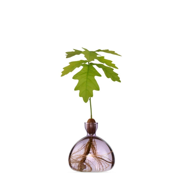 ACORN VASE | SPRING LILAC