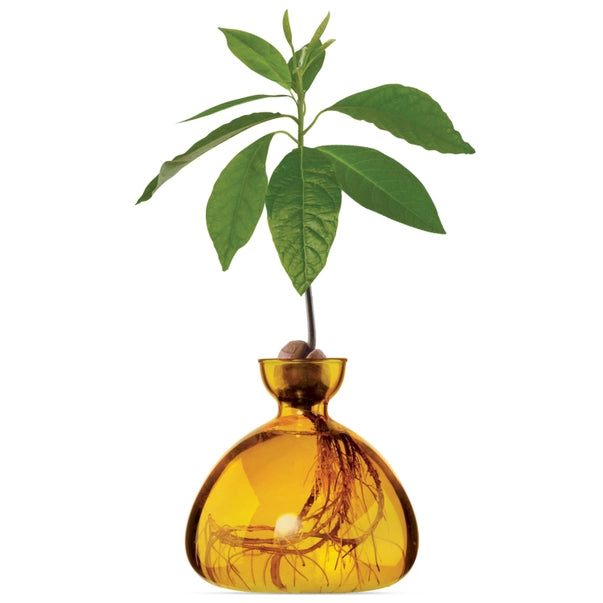 AVOCADO VASE | MELLOW YELLOW