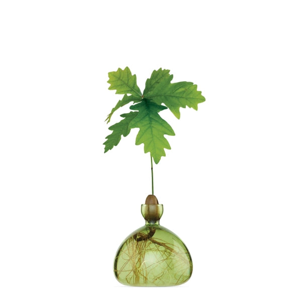ACORN VASE | GRASS GREEN