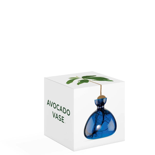 AVOCADO VASE | LAPIS BLUE