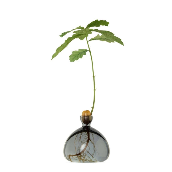 ACORN VASE | SMOKE GREY