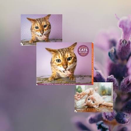 1 000 PIECE PUZZLE | DOUBLE SIDED: CATS ON CATNIP