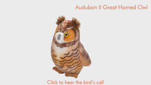 AUDUBON II GREAT HORNED OWL
