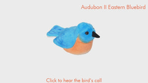 AUDUBON II EAST BLUEBIRD