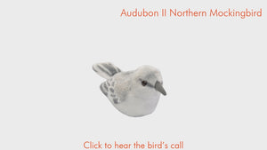 AUDUBON II NORTHERN MOCKINGBIRD