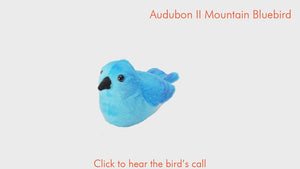 AUDUBON II MOUNTAIN BLUEBIRD