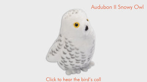 AUDUBON II SNOWY OWL