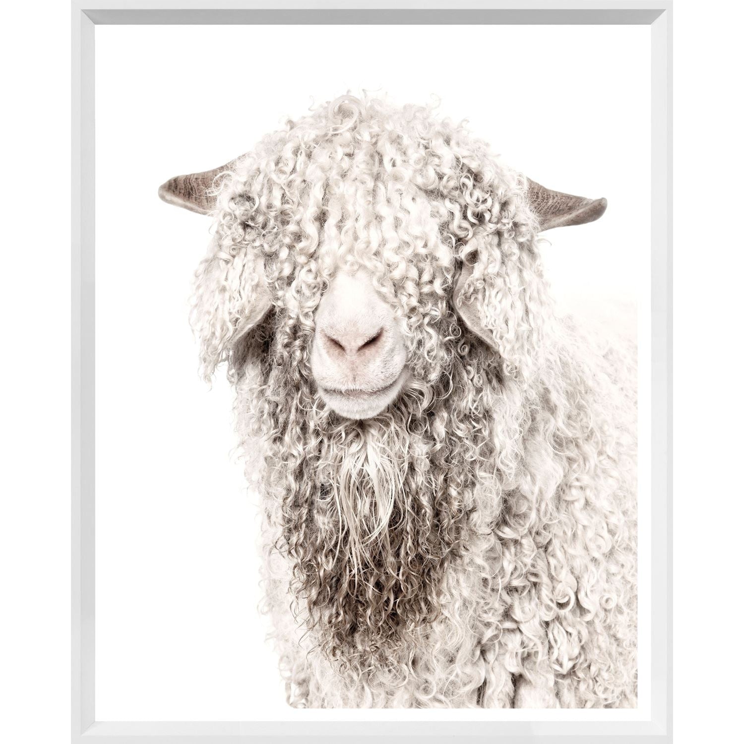 ANGORA GOAT-Home Decor-CELADON-Coriander