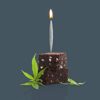 CANDLES | LIT BIRTHDAY-Candles-FRED AND FRIENDS-Coriander