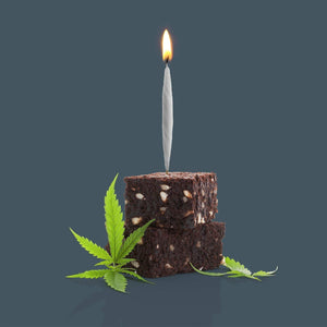 CANDLES | LIT BIRTHDAY-Candles-FRED AND FRIENDS-Coriander