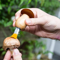 KEYCHAIN TOOL | MUSHROOM PICKER-gadget-KIKKERLAND DESIGNS-Coriander