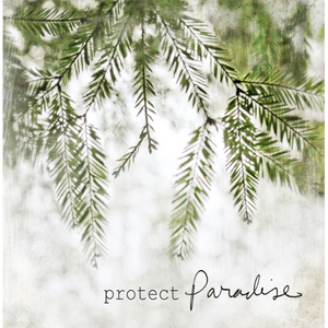 PROTECT PARADISE COASTER-Coasters-CEDAR MOUNTAIN-Coriander