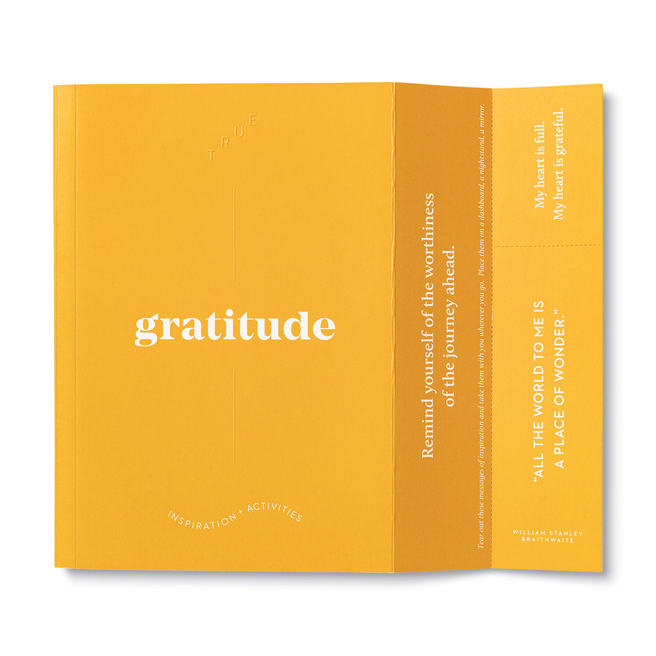 TRUE GRATITUDE GUIDED JOURNAL-Note book-COMPENDIUM-Coriander