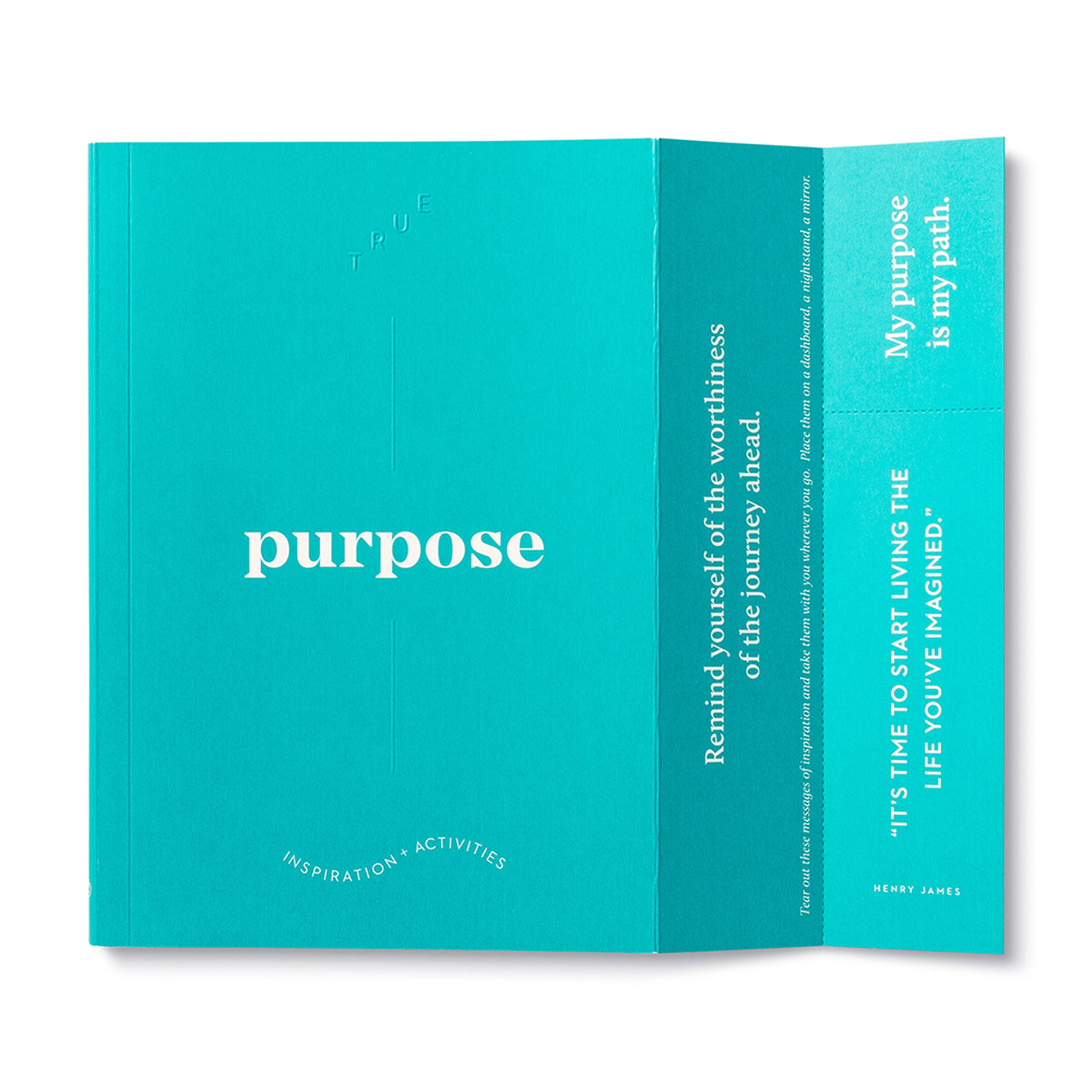 TRUE PURPOSE GUIDED JOURNAL-Note book-COMPENDIUM-Coriander